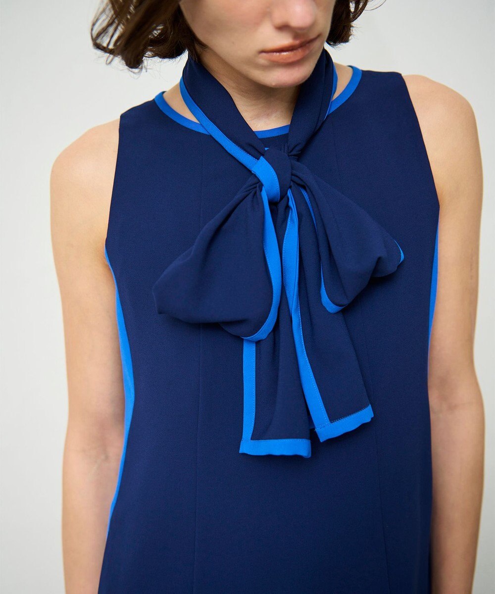 GRACE CONTINENTAL バイカラーフレームドレス 