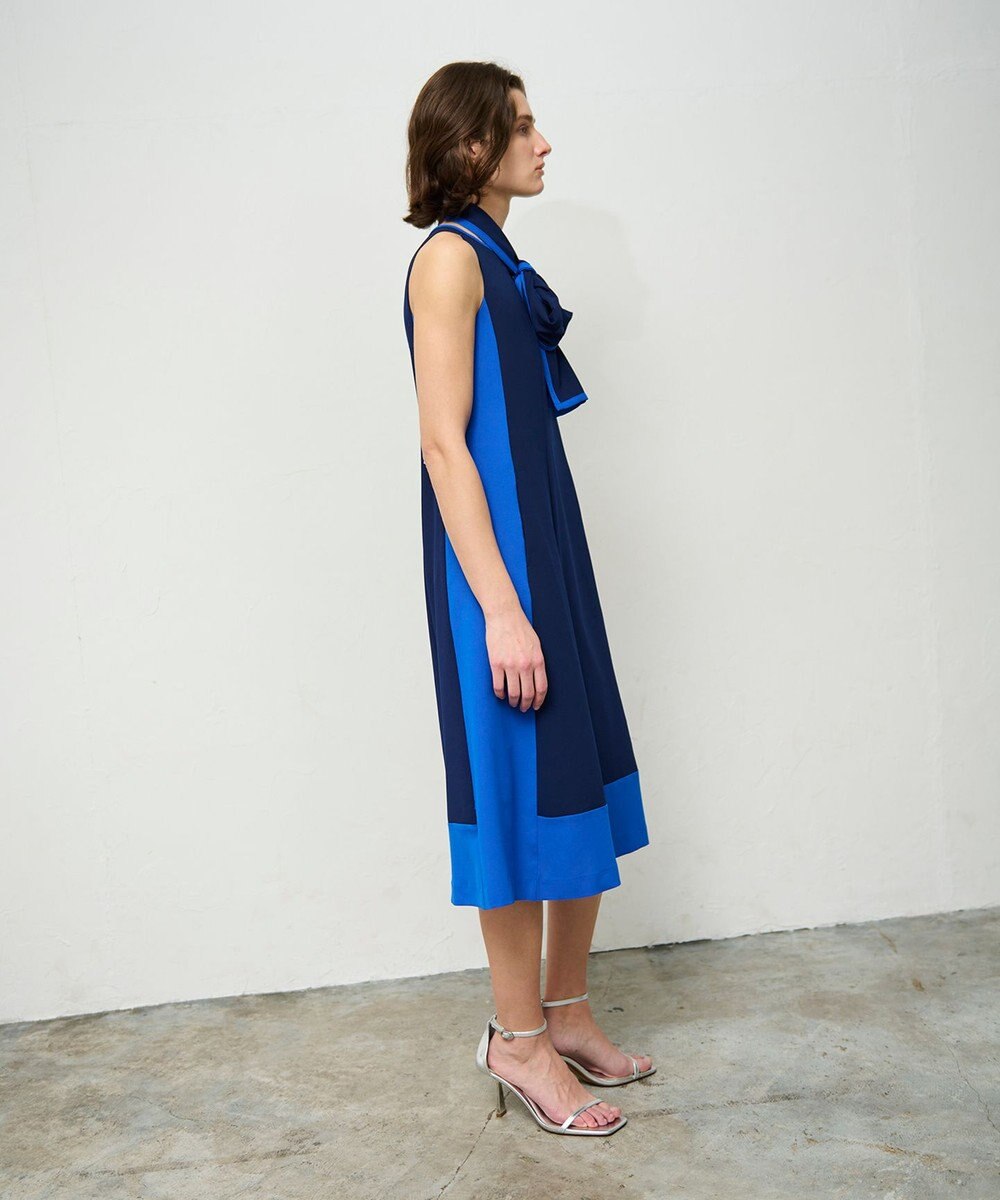 GRACE CONTINENTAL バイカラーフレームドレス 