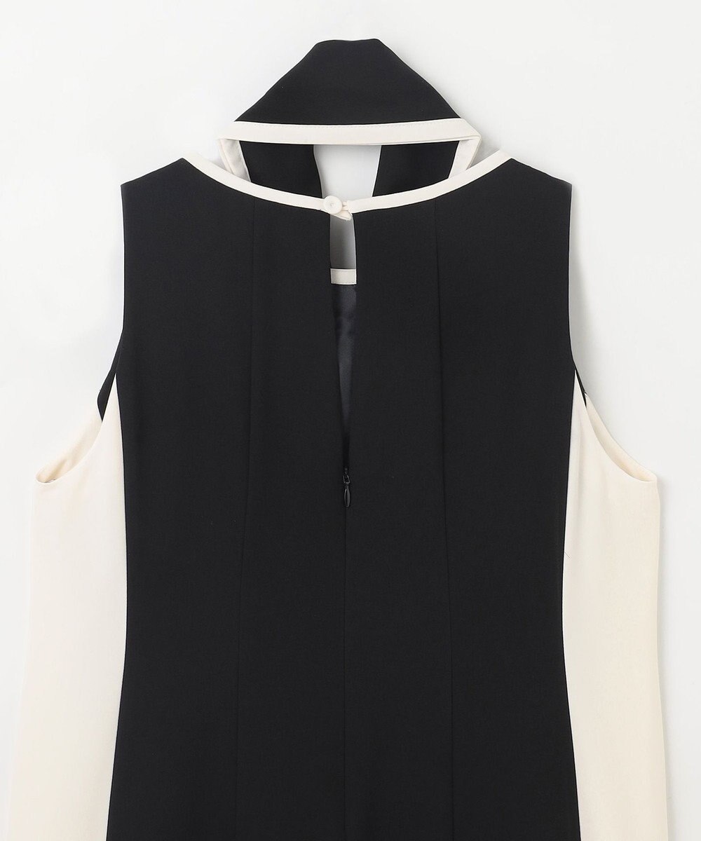 GRACE CONTINENTAL バイカラーフレームドレス 