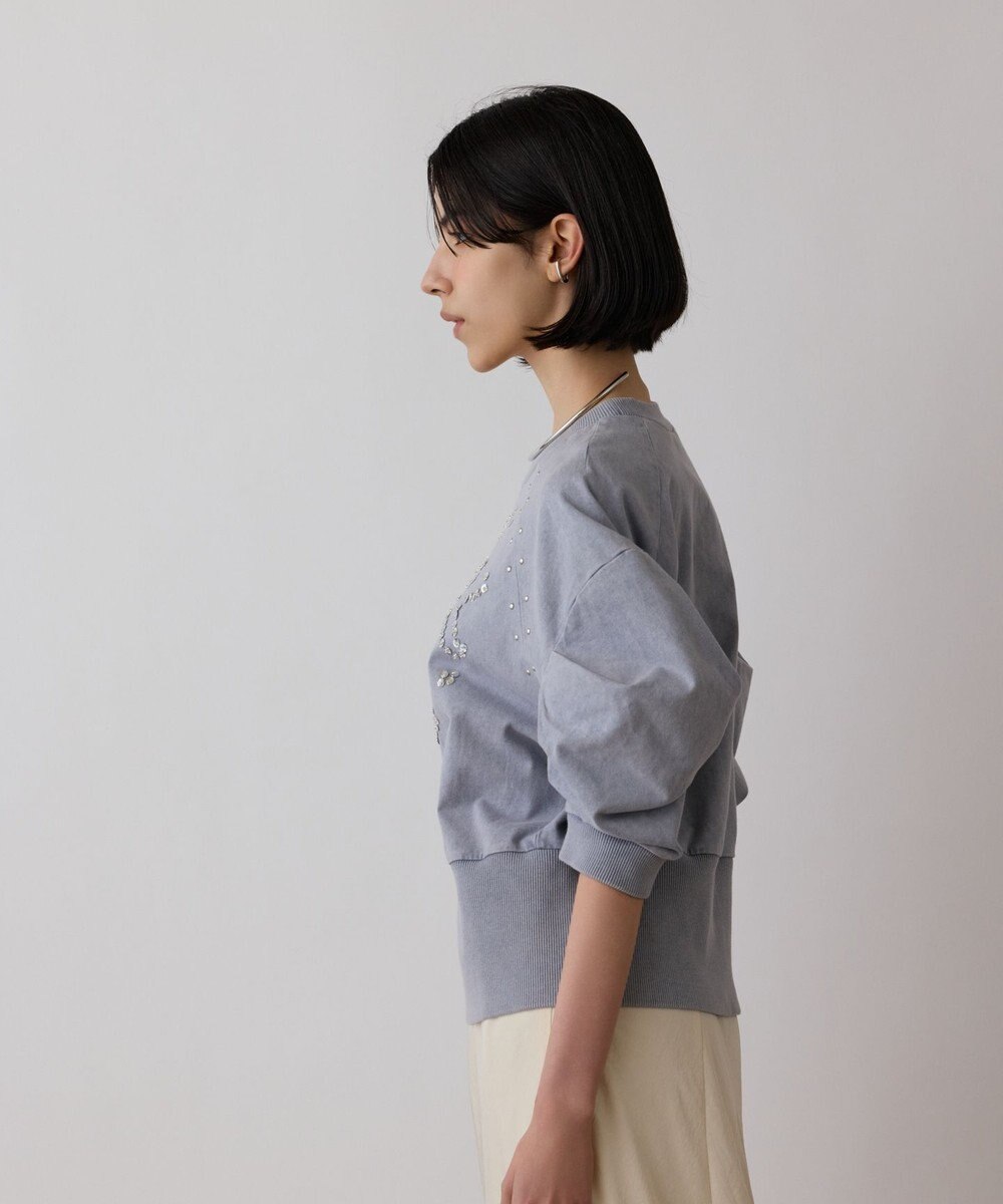 GRACE CONTINENTAL ピグメントショートトップ