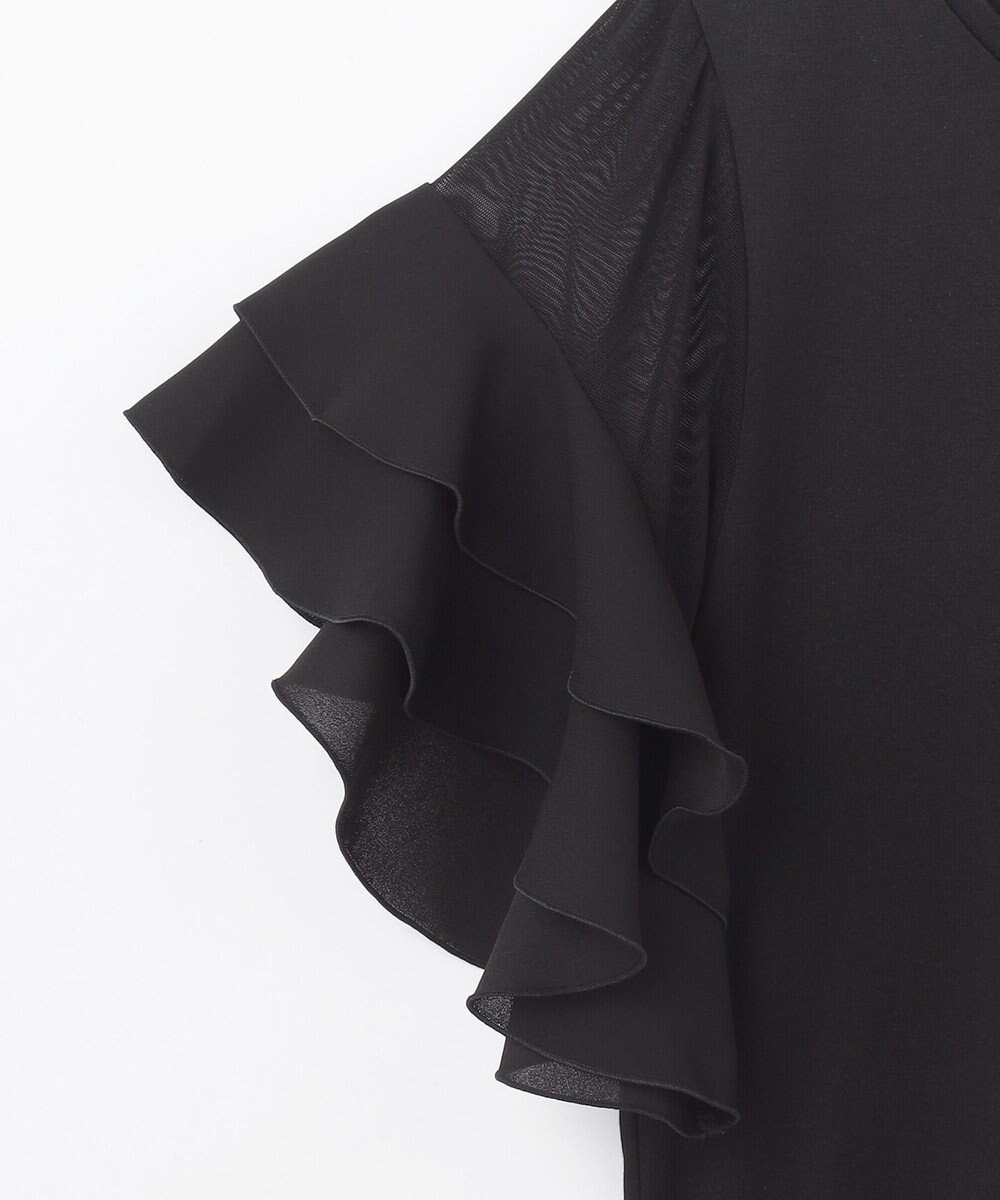 GRACE CONTINENTAL シアーフレアスリーブトップ