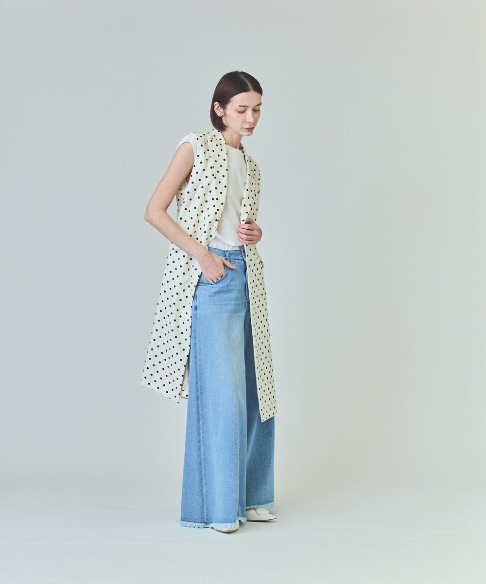 GRACE CONTINENTAL ドットジレドレス