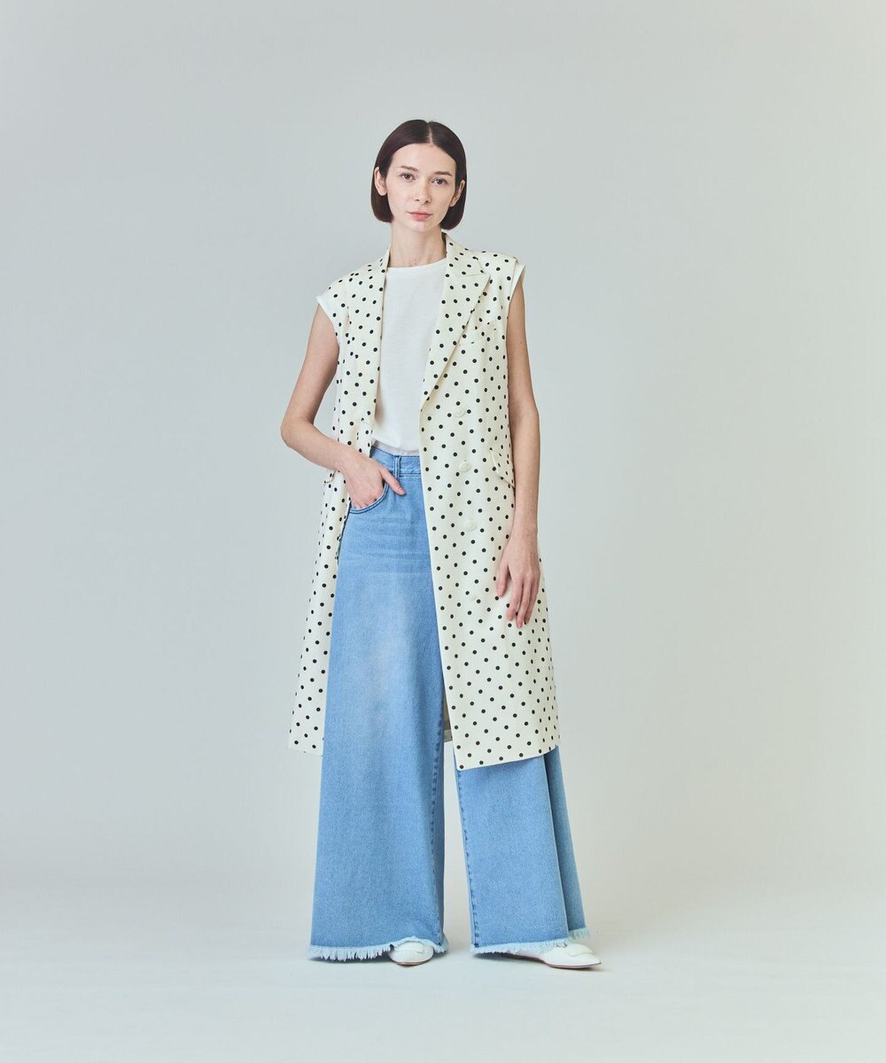 GRACE CONTINENTAL ドットジレドレス 