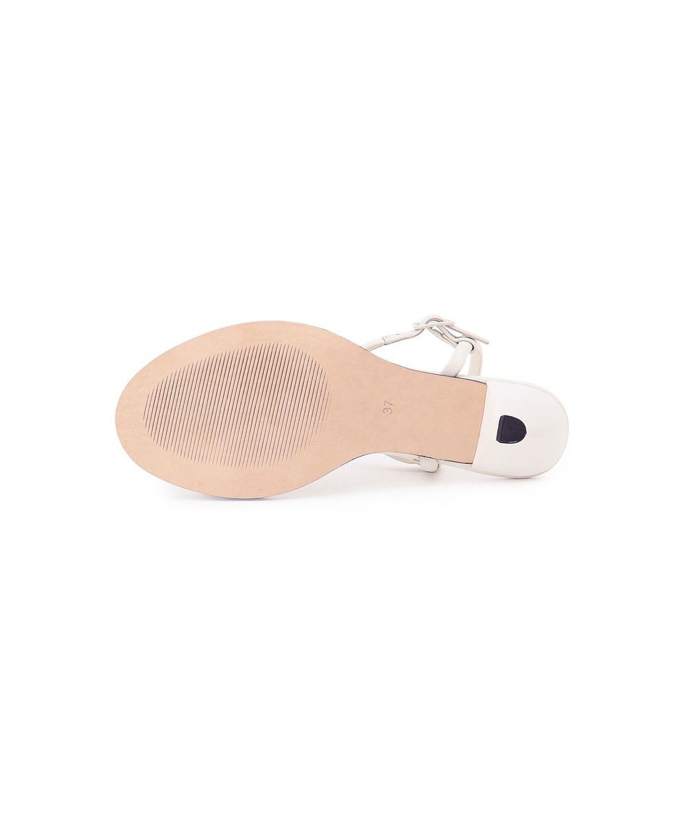 GRACE CONTINENTAL JVAM  GALA