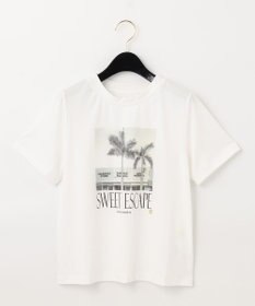 【グレースコンチネンタル】カットフォトTシャツ カットフォトTシャツ(508391876)｜阪急百貨店公式通販サイト