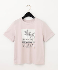 フォトプリントTシャツ / GRACE CONTINENTAL | GRACE