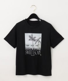 新品‼️タグ付♡グレースコンチネンタル♡カットフォトTシャツ♡ホワイト♡36 新品‼️タグ付♡グレースコンチネンタル♡カットフォトTシャツ