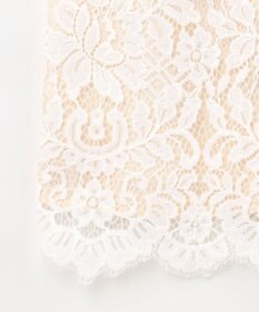 GRACE CONTINENTAL レースタイトドレス