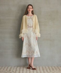 GRACE CONTINENTAL レースボーダードレス