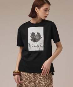 GRACE CONTINENTAL カットフォトTシャツ ブラック