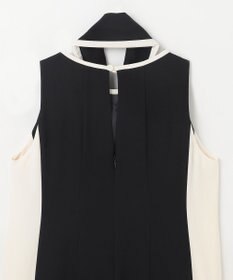 GRACE CONTINENTAL バイカラーフレームドレス