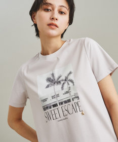 フォトプリントTシャツ / GRACE CONTINENTAL | GRACE