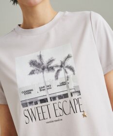 フォトプリントTシャツ / GRACE CONTINENTAL | GRACE