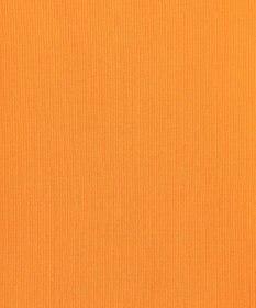 GRACE CONTINENTAL リブニットスクエアトップ