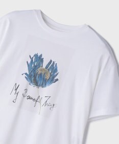 GRACE CONTINENTAL カットフォトTシャツ