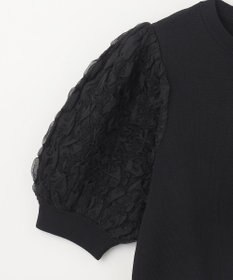 GRACE CONTINENTAL シアーハーフニットトップ