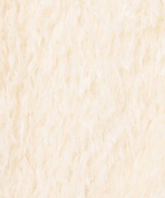 GRACE CONTINENTAL フェザーカットトップ