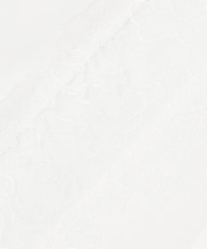 GRACE CONTINENTAL シアーポンチョシャツ