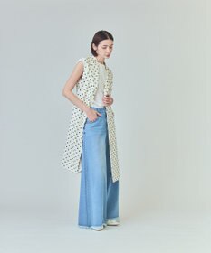 GRACE CONTINENTAL ドットジレドレス