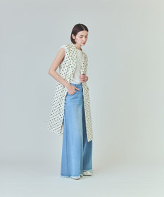 GRACE CONTINENTAL ドットジレドレス