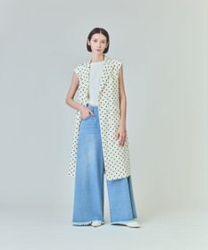 GRACE CONTINENTAL ドットジレドレス