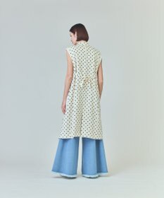 GRACE CONTINENTAL ドットジレドレス