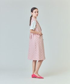 GRACE CONTINENTAL ドットジレドレス