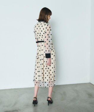 GRACE CONTINENTAL ラメドット刺繍ドレス キナリ