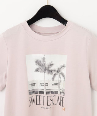 フォトプリントTシャツ / GRACE CONTINENTAL | GRACE