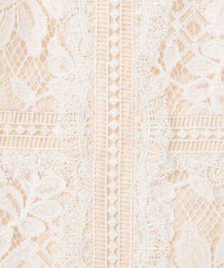 GRACE CONTINENTAL レースタイトドレス キナリ