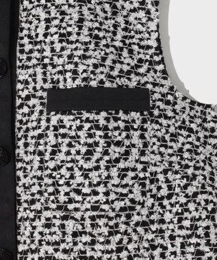 GRACE CONTINENTAL フェザーembドレス ホワイト