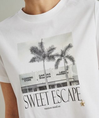 フォトプリントTシャツ / GRACE CONTINENTAL | GRACE