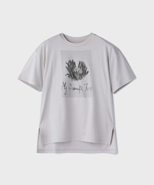 GRACE CONTINENTAL カットフォトTシャツ グレー