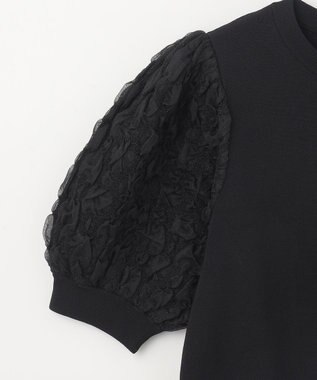 GRACE CONTINENTAL シアーハーフニットトップ ブラック