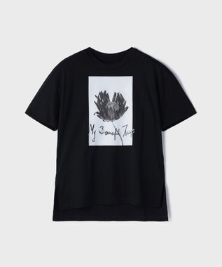 カットフォトTシャツ / GRACE CONTINENTAL | GRACE CONTINENTAL