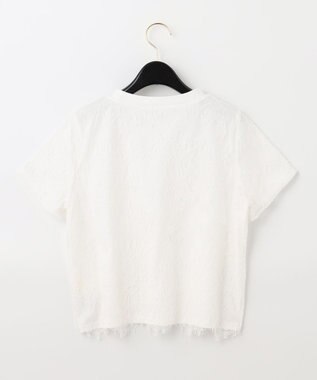 レースレイヤードTシャツ / GRACE CONTINENTAL | GRACE