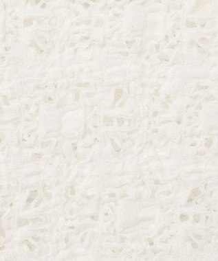 GRACE CONTINENTAL レースカットスキッパートップ ホワイト