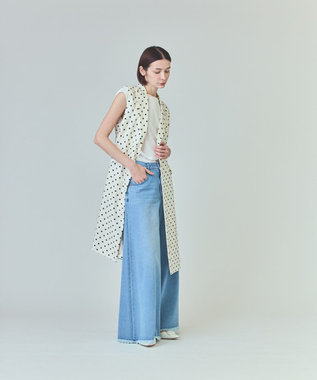 GRACE CONTINENTAL ドットジレドレス キナリ