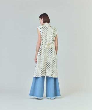 GRACE CONTINENTAL ドットジレドレス キナリ