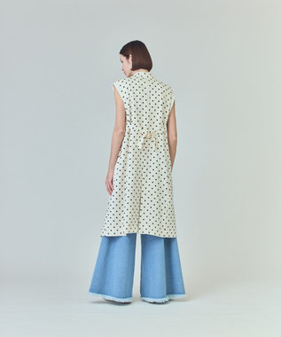 GRACE CONTINENTAL ドットジレドレス キナリ