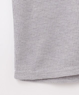 GRACE CONTINENTAL ラメカットトップ シルバー