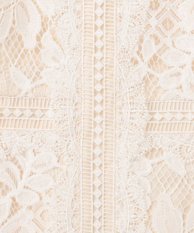 GRACE CONTINENTAL レースタイトドレス キナリ