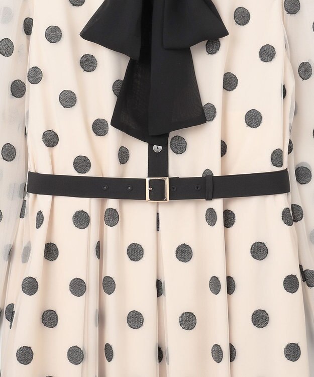 GRACE CONTINENTAL ラメドット刺繍ドレス キナリ