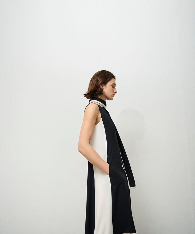 GRACE CONTINENTAL バイカラーフレームドレス ブラック
