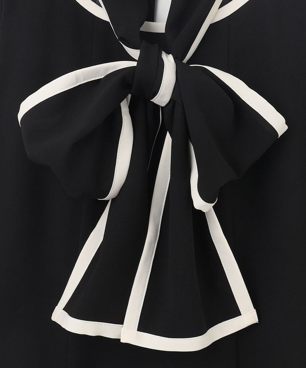 GRACE CONTINENTAL バイカラーフレームドレス ブラック