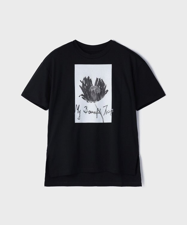 新品‼️タグ付♡グレースコンチネンタル♡カットフォトTシャツ♡ホワイト♡36 カットフォトTシャツ / GRACE CONTINENTAL | GRACE CONTINENTAL